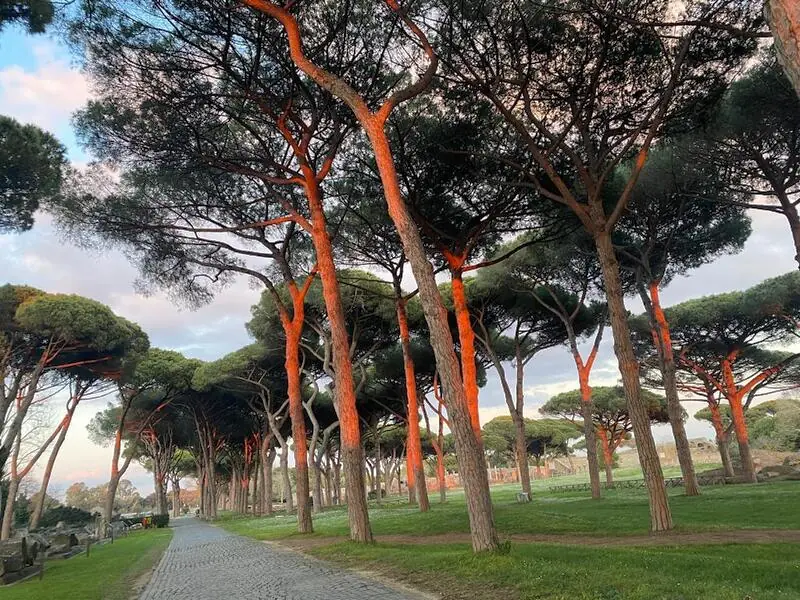 pini di ostia