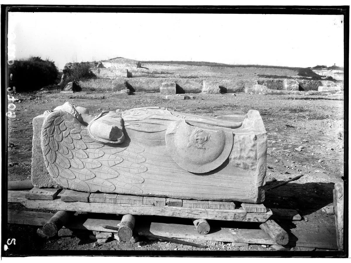 Archivio fotogafico PAOANTB_220